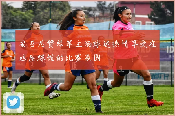 安芬尼赞绿军主场球迷热情享受在这座球馆的比赛氛围